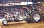 Predator_NFMS_02.jpg