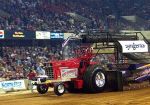 RedGambler_NFMS_02.jpg