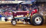 Insanity_NFMS02.jpg