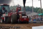 IMG_2979.jpg