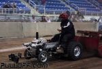 IMG_3728.JPG