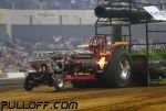 _MG_3229.JPG