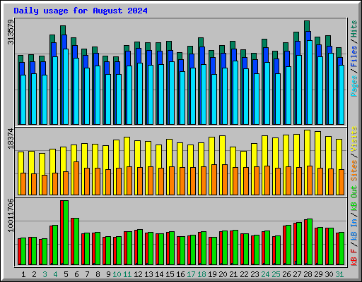 Daily usage for August 2024