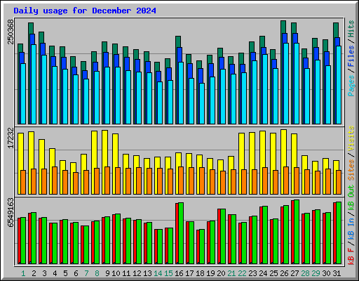 Daily usage for December 2024