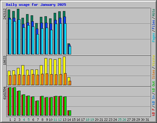 Daily usage for January 2025