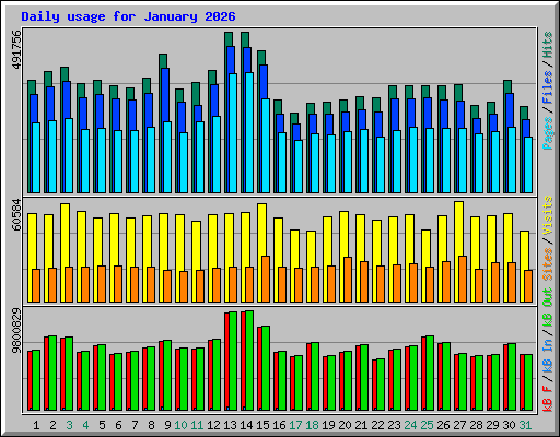 Daily usage for January 2026
