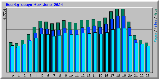 Hourly usage for June 2024