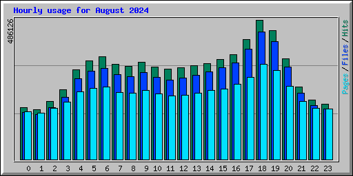 Hourly usage for August 2024