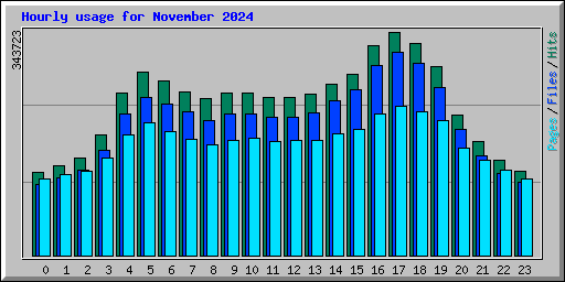 Hourly usage for November 2024