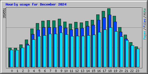 Hourly usage for December 2024