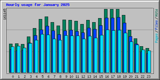 Hourly usage for January 2025