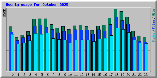 Hourly usage for October 2025