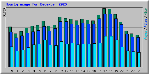 Hourly usage for December 2025