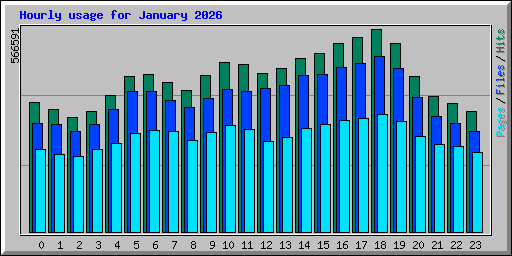 Hourly usage for January 2026