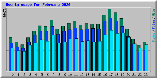 Hourly usage for February 2026