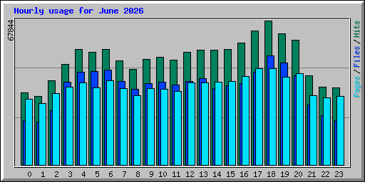 Hourly usage for June 2026