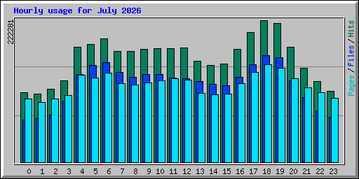 Hourly usage for July 2026